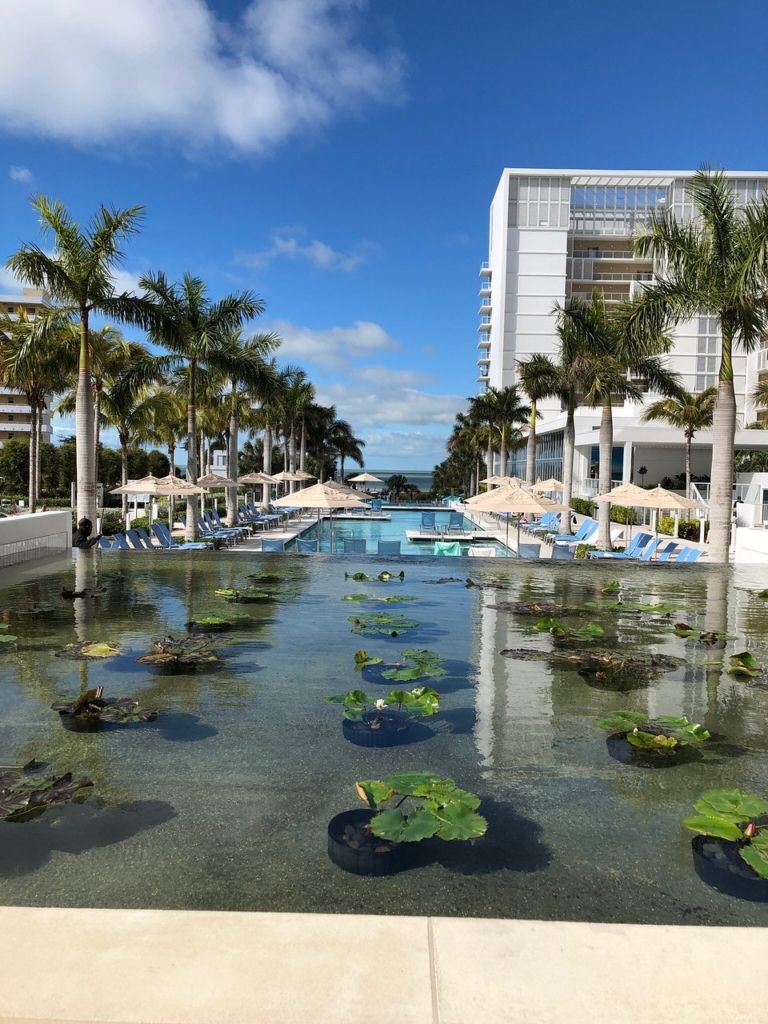 marriott vacation club destinations
