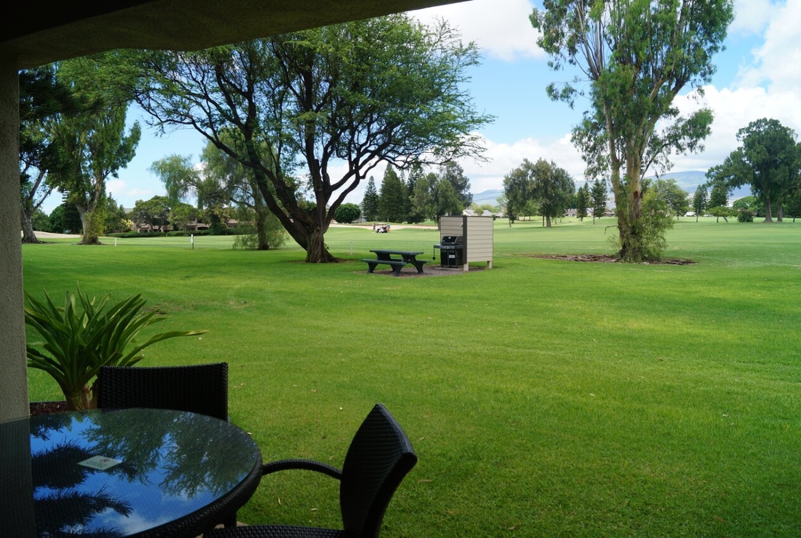 Paniolo Greens Golf Course View