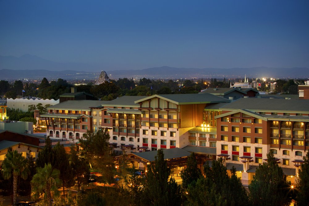dvc use year