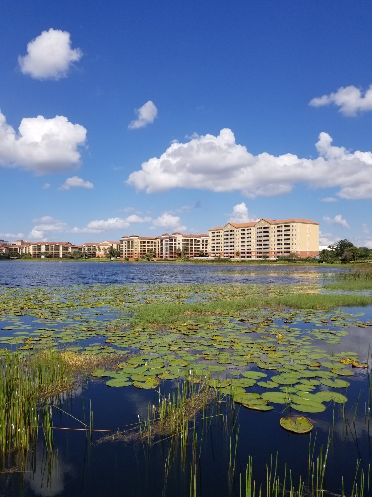 Westgate Lakes Resort And Spa Overview