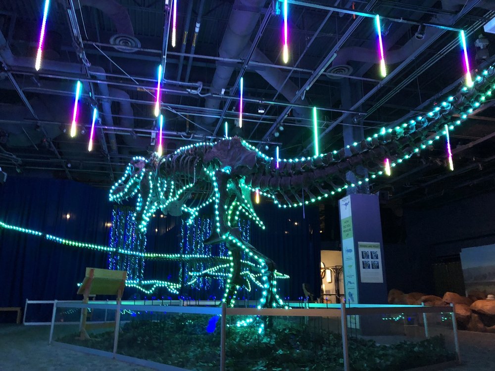 Things to do in Orlando