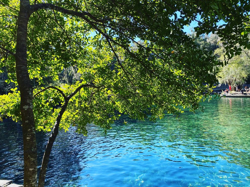 Wekiwa Springs State Park