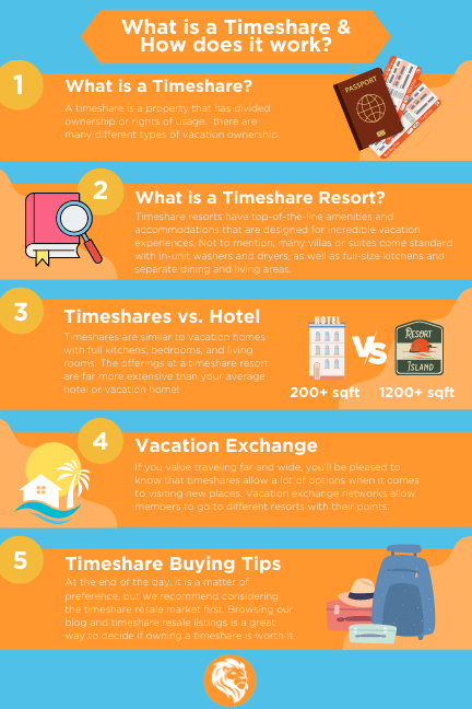 What is a timeshare infographic