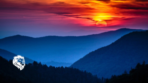 Top Places To Explore in the Great Smoky Mountains